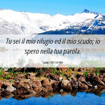Picture 06 - Salmi 119:114 RIV - Tu sei il mio rifugio ed il mio scudo; io spero - Bible Verse Picture