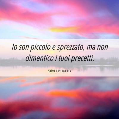 Picture 06 - Salmi 119:141 RIV - Io son piccolo e sprezzato, ma non dimentico i - Bible Verse Picture