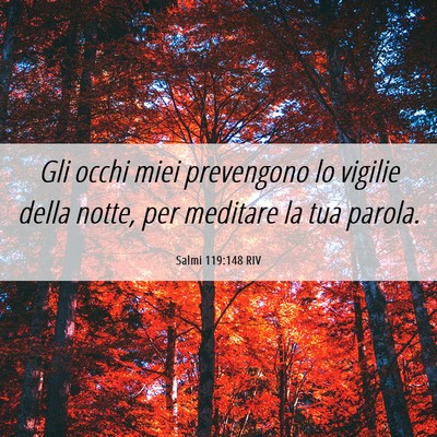 Picture 06 - Salmi 119:148 RIV - Gli occhi miei prevengono lo vigilie della notte, - Bible Verse Picture