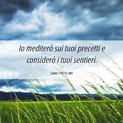 Picture 06 - Salmi 119:15 RIV - Io mediterò sui tuoi precetti e considerò i - Bible Verse Picture