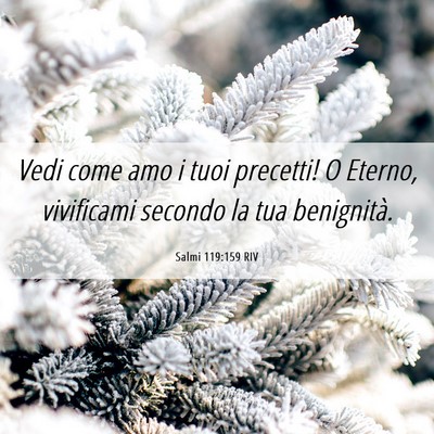 Picture 06 - Salmi 119:159 RIV - Vedi come amo i tuoi precetti! O Eterno, - Bible Verse Picture