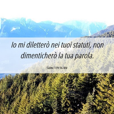 Picture 06 - Salmi 119:16 RIV - Io mi diletterò nei tuoi statuti, non - Bible Verse Picture