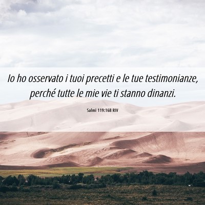 Picture 06 - Salmi 119:168 RIV - Io ho osservato i tuoi precetti e le tue - Bible Verse Picture