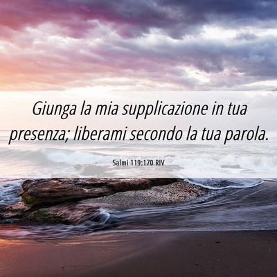 Picture 06 - Salmi 119:170 RIV - Giunga la mia supplicazione in tua presenza; - Bible Verse Picture