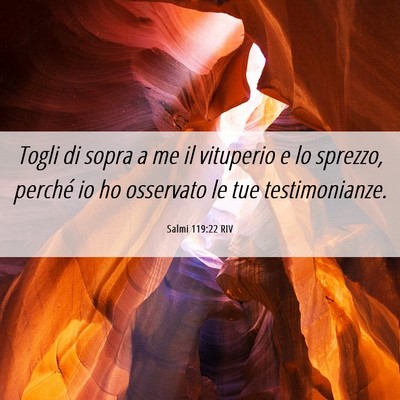 Picture 06 - Salmi 119:22 RIV - Togli di sopra a me il vituperio e lo sprezzo, - Bible Verse Picture