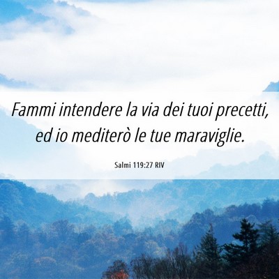 Picture 06 - Salmi 119:27 RIV - Fammi intendere la via dei tuoi precetti, ed io - Bible Verse Picture