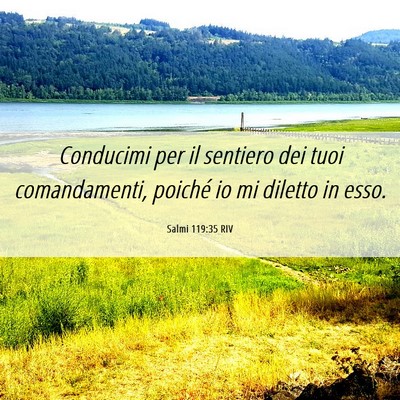 Picture 06 - Salmi 119:35 RIV - Conducimi per il sentiero dei tuoi comandamenti, - Bible Verse Picture