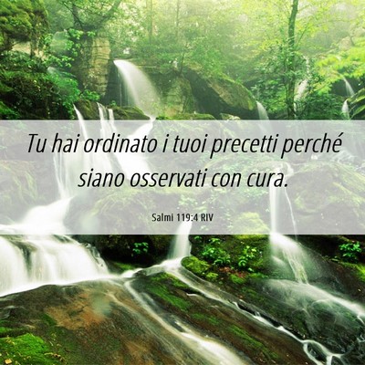 Picture 06 - Salmi 119:4 RIV - Tu hai ordinato i tuoi precetti perché siano - Bible Verse Picture