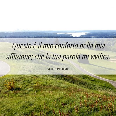 Picture 06 - Salmi 119:50 RIV - Questo è il mio conforto nella mia afflizione; - Bible Verse Picture