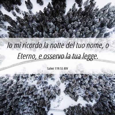 Picture 06 - Salmi 119:55 RIV - Io mi ricordo la notte del tuo nome, o Eterno, e - Bible Verse Picture