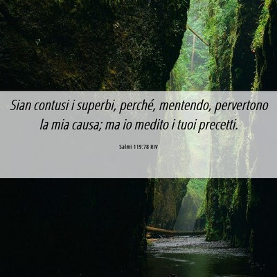Picture 06 - Salmi 119:78 RIV - Sian contusi i superbi, perché, mentendo, - Bible Verse Picture