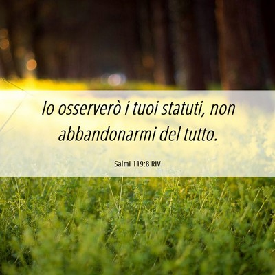 Picture 06 - Salmi 119:8 RIV - Io osserverò i tuoi statuti, non abbandonarmi - Bible Verse Picture