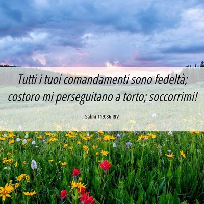 Picture 06 - Salmi 119:86 RIV - Tutti i tuoi comandamenti sono fedeltà; costoro - Bible Verse Picture