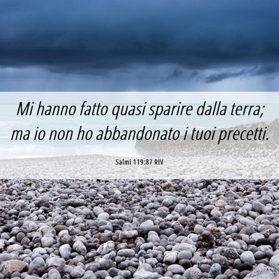 Picture 06 - Salmi 119:87 RIV - Mi hanno fatto quasi sparire dalla terra; ma io - Bible Verse Picture