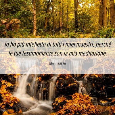 Picture 06 - Salmi 119:99 RIV - Io ho più intelletto di tutti i miei maestri, - Bible Verse Picture