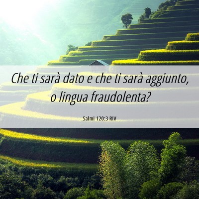 Picture 06 - Salmi 120:3 RIV - Che ti sarà dato e che ti sarà aggiunto, o - Bible Verse Picture