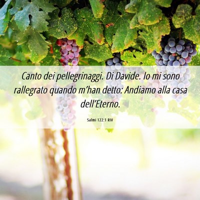 Picture 06 - Salmi 122:1 RIV - Canto dei pellegrinaggi. Di Davide. Io mi sono - Bible Verse Picture