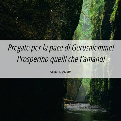 Picture 06 - Salmi 122:6 RIV - Pregate per la pace di Gerusalemme! Prosperino - Bible Verse Picture