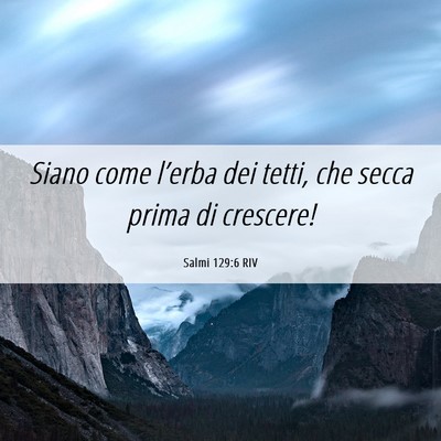Picture 06 - Salmi 129:6 RIV - Siano come l’erba dei tetti, che secca prima di - Bible Verse Picture
