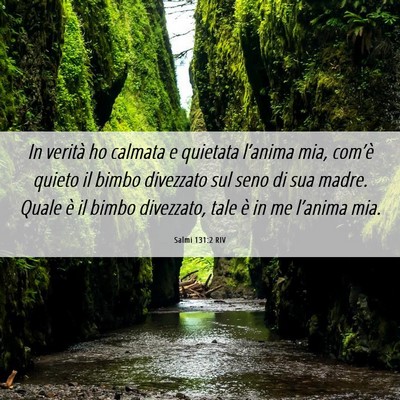 Picture 06 - Salmi 131:2 RIV - In verità ho calmata e quietata l’anima mia, - Bible Verse Picture