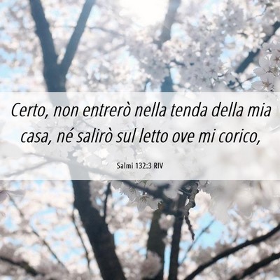 Picture 06 - Salmi 132:3 RIV - Certo, non entrerò nella tenda della mia casa, - Bible Verse Picture