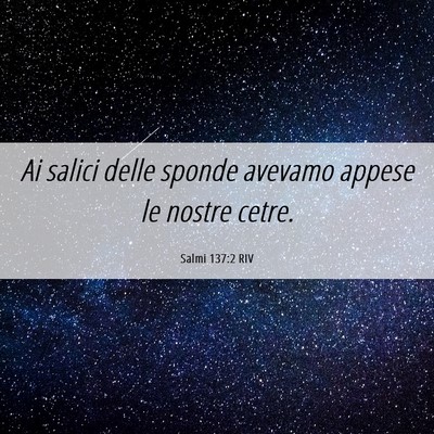 Picture 06 - Salmi 137:2 RIV - Ai salici delle sponde avevamo appese le nostre - Bible Verse Picture