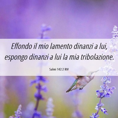 Picture 06 - Salmi 142:2 RIV - Effondo il mio lamento dinanzi a lui, espongo - Bible Verse Picture