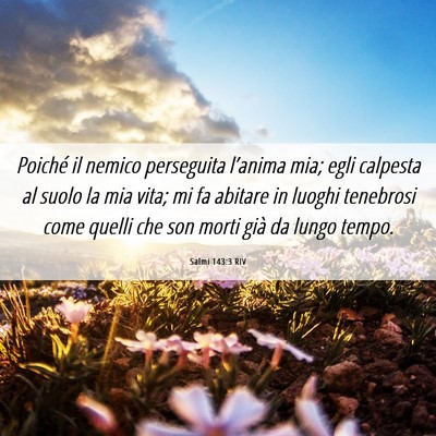 Picture 06 - Salmi 143:3 RIV - Poiché il nemico perseguita l’anima mia; egli - Bible Verse Picture