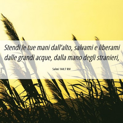 Picture 06 - Salmi 144:7 RIV - Stendi le tue mani dall’alto, salvami e - Bible Verse Picture