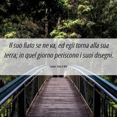 Picture 06 - Salmi 146:4 RIV - Il suo fiato se ne va, ed egli torna alla sua - Bible Verse Picture