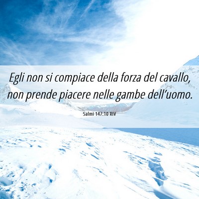 Picture 06 - Salmi 147:10 RIV - Egli non si compiace della forza del cavallo, non - Bible Verse Picture