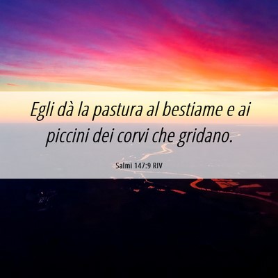 Picture 06 - Salmi 147:9 RIV - Egli dà la pastura al bestiame e ai piccini dei - Bible Verse Picture