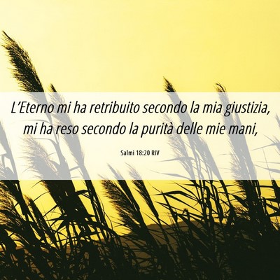 Picture 06 - Salmi 18:20 RIV - L’Eterno mi ha retribuito secondo la mia - Bible Verse Picture