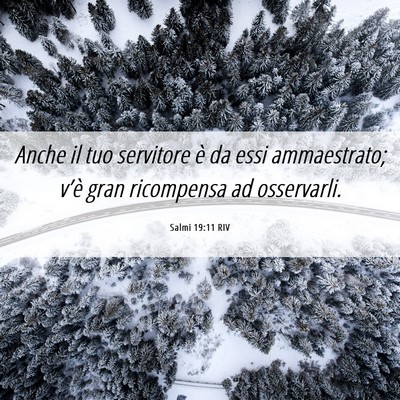 Picture 06 - Salmi 19:11 RIV - Anche il tuo servitore è da essi ammaestrato; - Bible Verse Picture