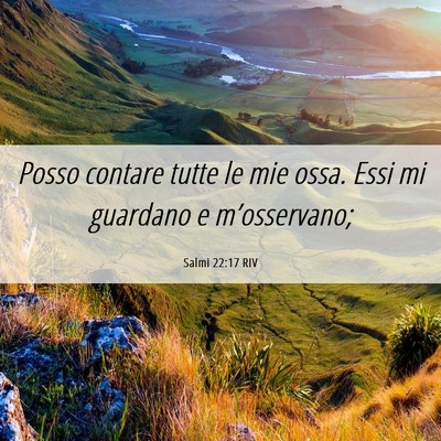 Picture 06 - Salmi 22:17 RIV - Posso contare tutte le mie ossa. Essi mi guardano - Bible Verse Picture