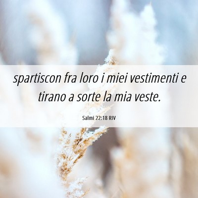 Picture 06 - Salmi 22:18 RIV - spartiscon fra loro i miei vestimenti e tirano a - Bible Verse Picture