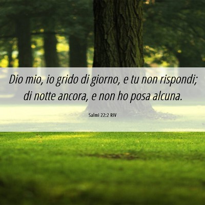 Picture 06 - Salmi 22:2 RIV - Dio mio, io grido di giorno, e tu non rispondi; - Bible Verse Picture