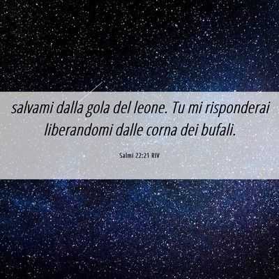 Picture 06 - Salmi 22:21 RIV - salvami dalla gola del leone. Tu mi risponderai - Bible Verse Picture