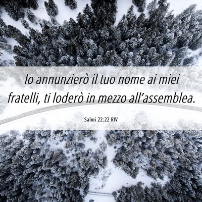 Picture 06 - Salmi 22:22 RIV - Io annunzierò il tuo nome ai miei fratelli, ti - Bible Verse Picture