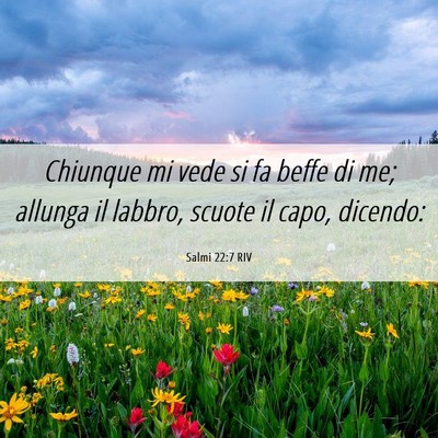 Picture 06 - Salmi 22:7 RIV - Chiunque mi vede si fa beffe di me; allunga il - Bible Verse Picture