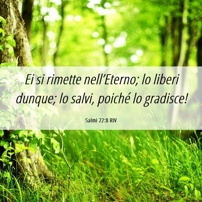 Picture 06 - Salmi 22:8 RIV - Ei si rimette nell’Eterno; lo liberi dunque; lo - Bible Verse Picture