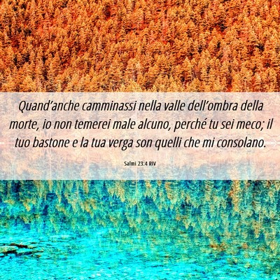 Picture 06 - Salmi 23:4 RIV - Quand’anche camminassi nella valle dell’ombra - Bible Verse Picture