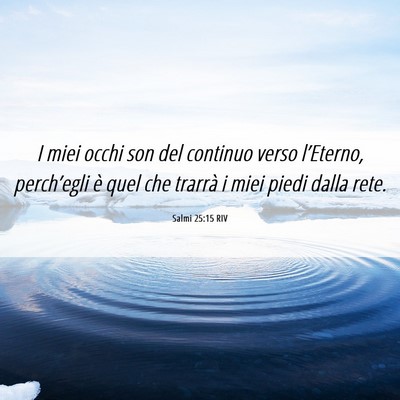 Picture 06 - Salmi 25:15 RIV - I miei occhi son del continuo verso l’Eterno, - Bible Verse Picture