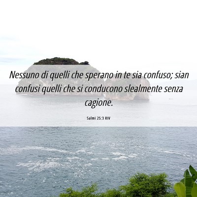 Picture 06 - Salmi 25:3 RIV - Nessuno di quelli che sperano in te sia confuso; - Bible Verse Picture