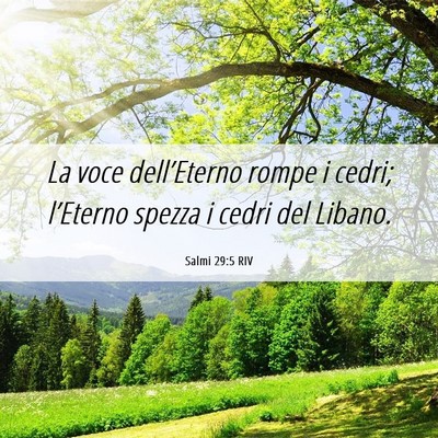 Picture 06 - Salmi 29:5 RIV - La voce dell’Eterno rompe i cedri; l’Eterno - Bible Verse Picture