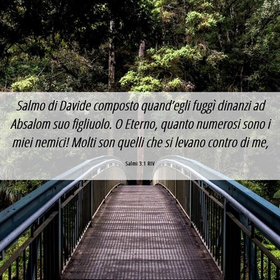 Picture 06 - Salmi 3:1 RIV - Salmo di Davide composto quand’egli fuggì - Bible Verse Picture
