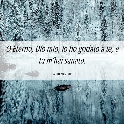 Picture 06 - Salmi 30:2 RIV - O Eterno, Dio mio, io ho gridato a te, e tu - Bible Verse Picture