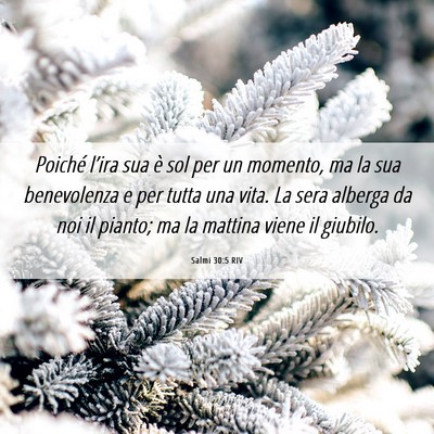 Picture 06 - Salmi 30:5 RIV - Poiché l’ira sua è sol per un momento, ma la - Bible Verse Picture