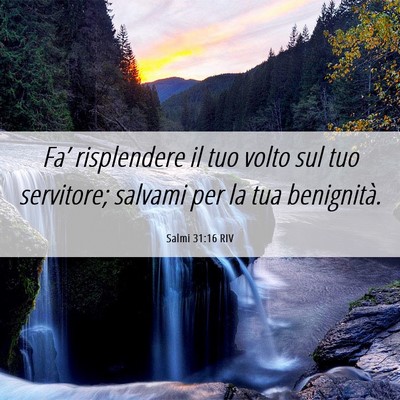 Picture 06 - Salmi 31:16 RIV - Fa’ risplendere il tuo volto sul tuo servitore; - Bible Verse Picture