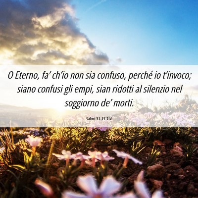 Picture 06 - Salmi 31:17 RIV - O Eterno, fa’ ch’io non sia confuso, perché - Bible Verse Picture